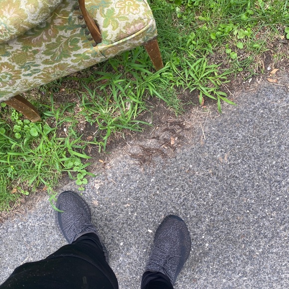 Meet your Posher, Mr.chew - Picture 1 of 1